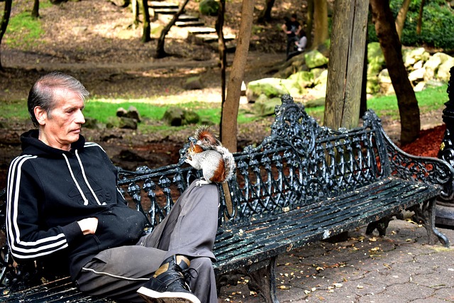 Soru Görseli