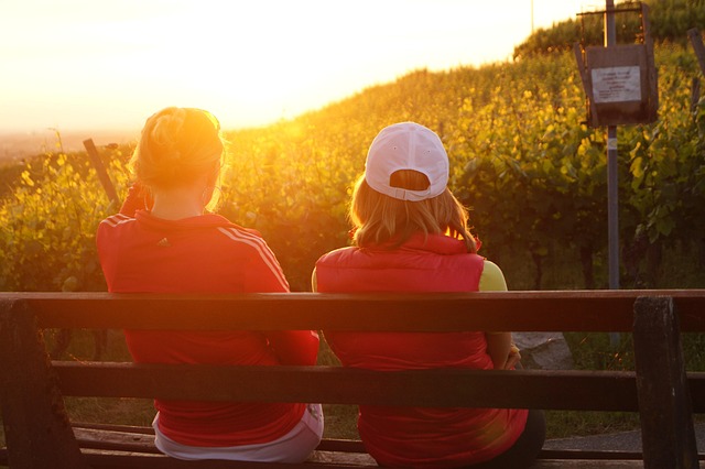 Soru Görseli