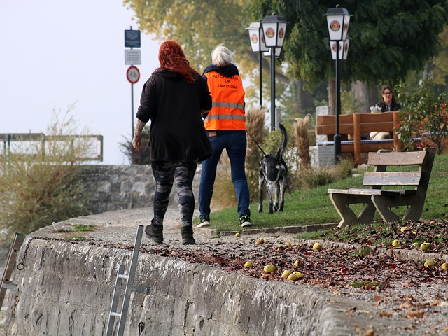Soru Görseli